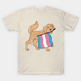 Pride Doggos Alternate: Transgender Goldendoodle T-Shirt